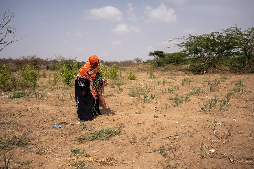 Faduma steht inmitten ihrer von der Dürre gezeichneten Felder. Foto: Lydia Mantler