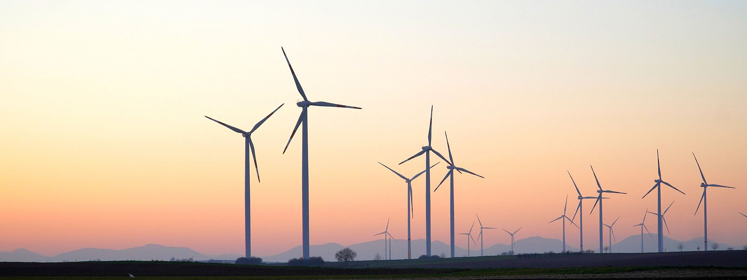 Windräder. Foto: Matthias Boeckel / Pixabay