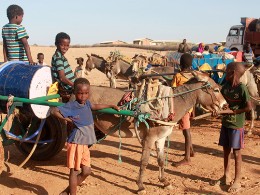 Kinder mit Eselskarren beim Wasserholen nahe Gode, Äthiopien