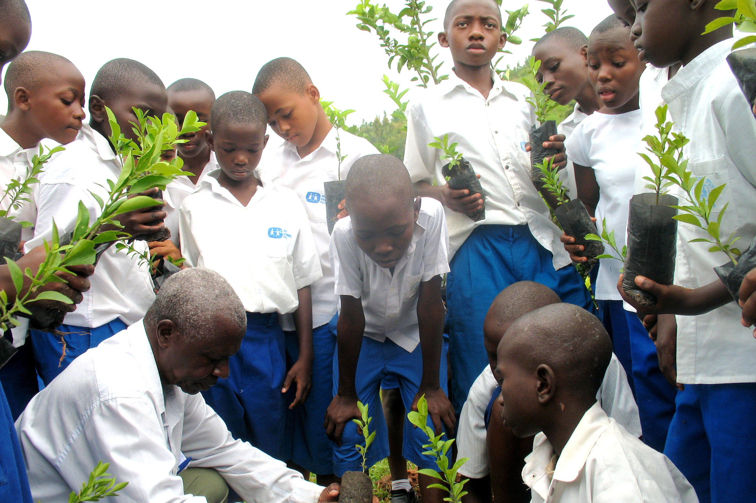 Kinder pflanzen Bäume