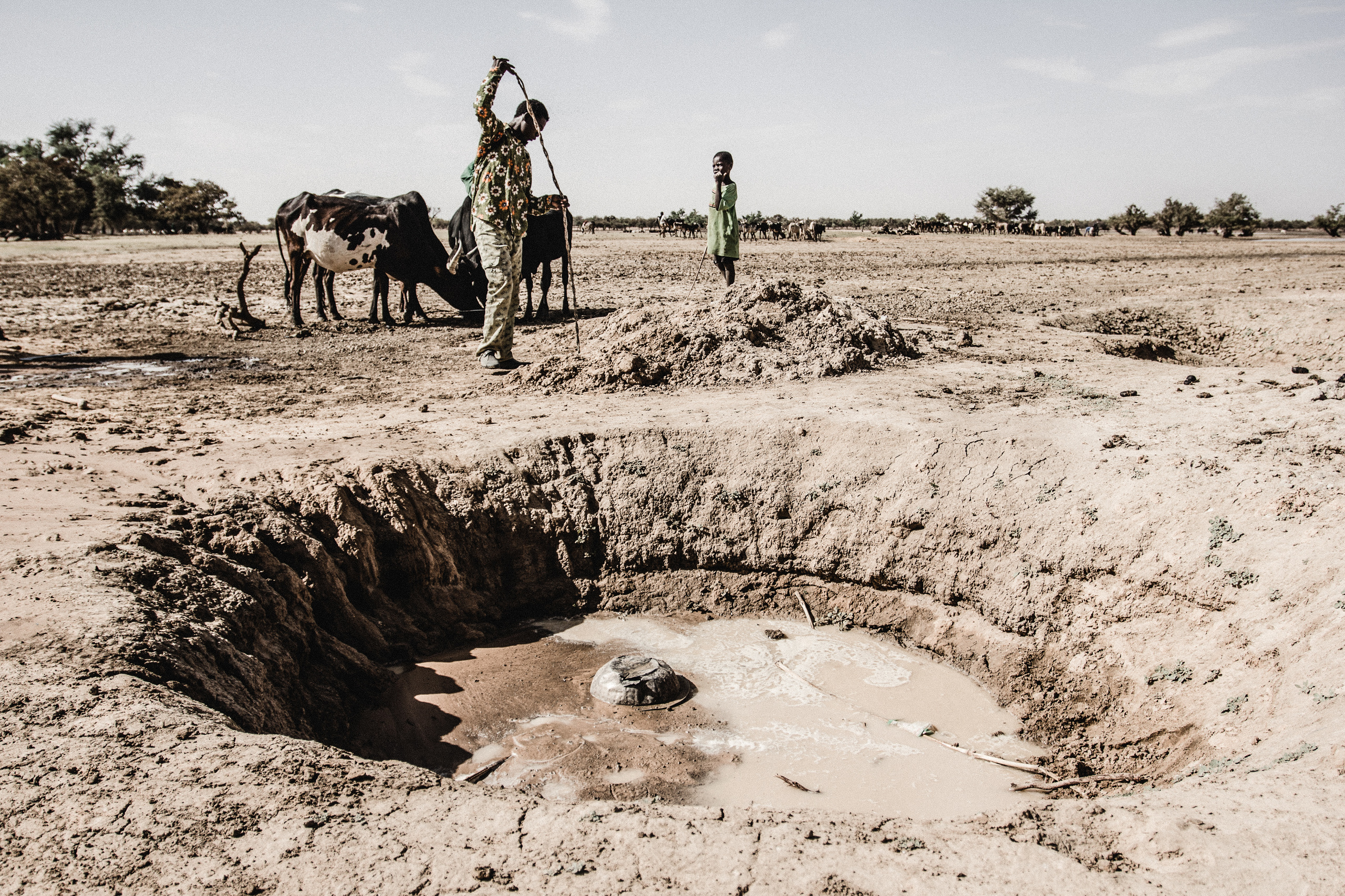 Duerre in Afrika ist eine der Folgen des Klimawandels