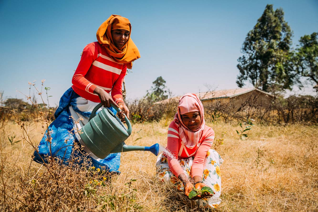 Äthiopien: Frauen gießen einen Setzling. Foto: Alea Horst