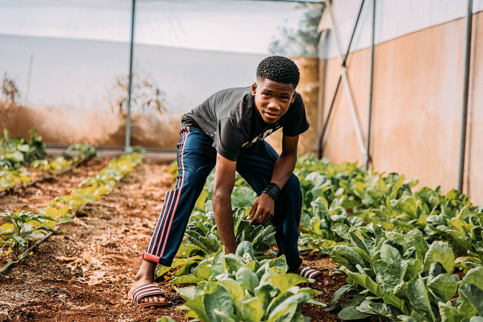 Viktor steht im Gewächshaus, um ihn viele Pflanzen.