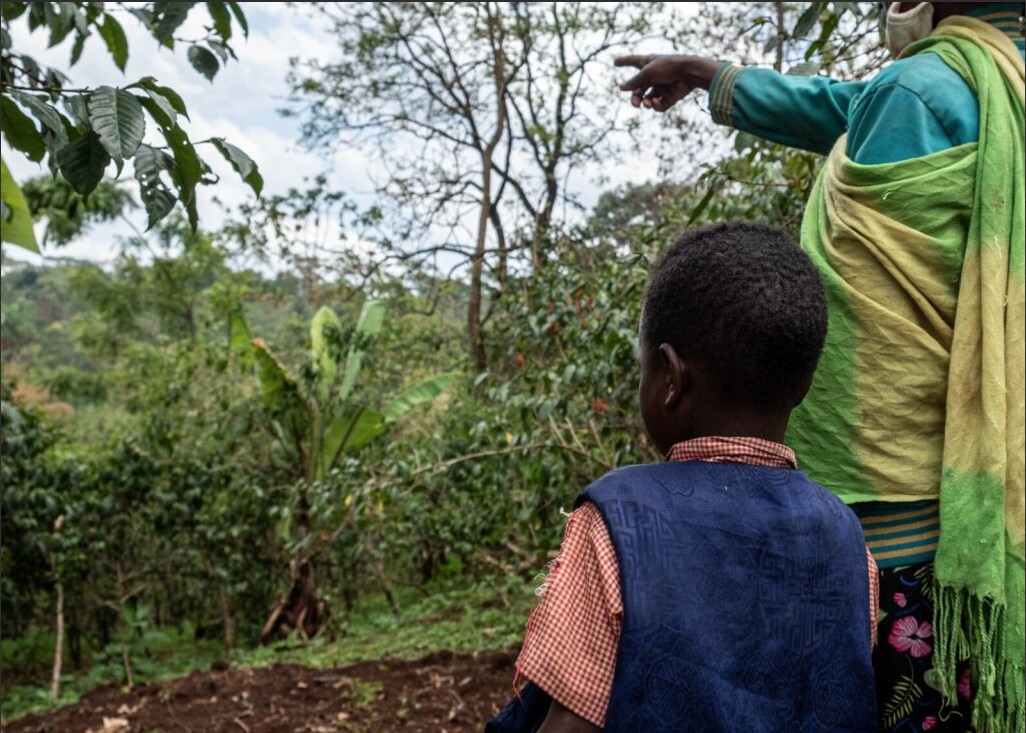 Ein kleiner Junge und eine Erwachsene schauen, an einem Abhang stehend, in einen Wald.