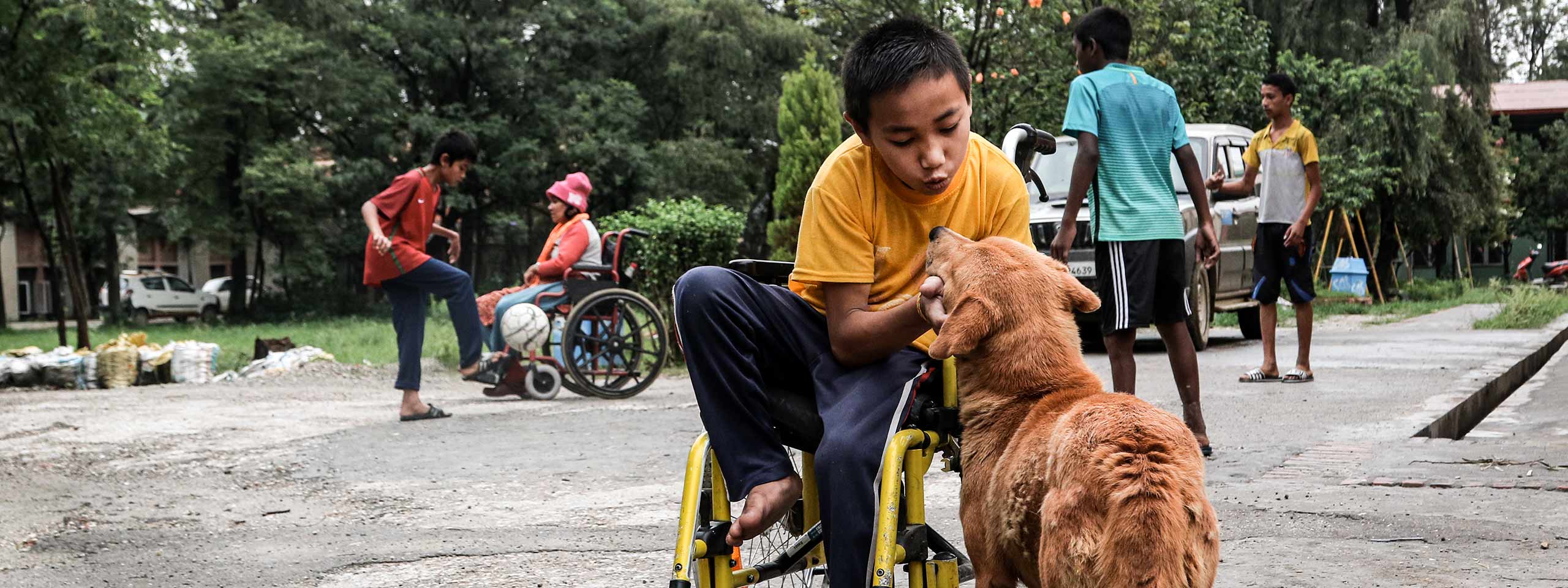 Junge in Rollstuhl streichelt Hund, im Hintergrund spielen andere Kinder.