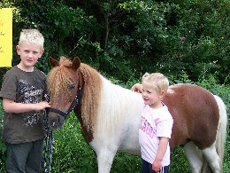 Pony Filou hilft beim Verkauf