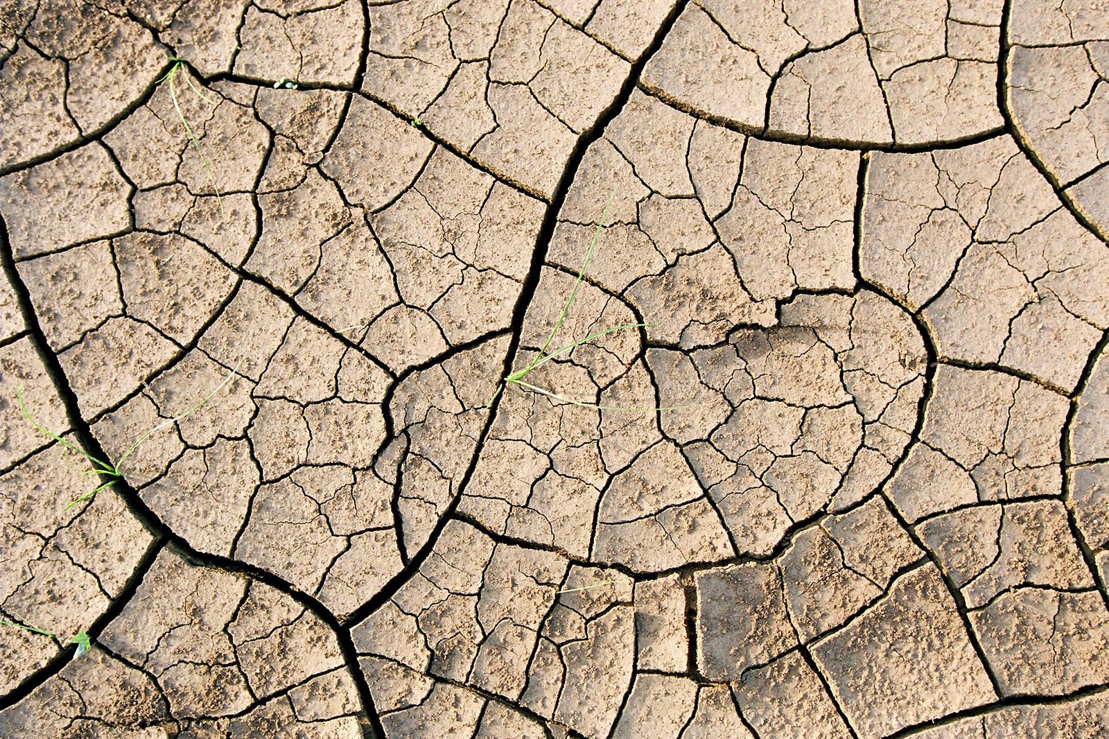 Dürre in Madagaskar