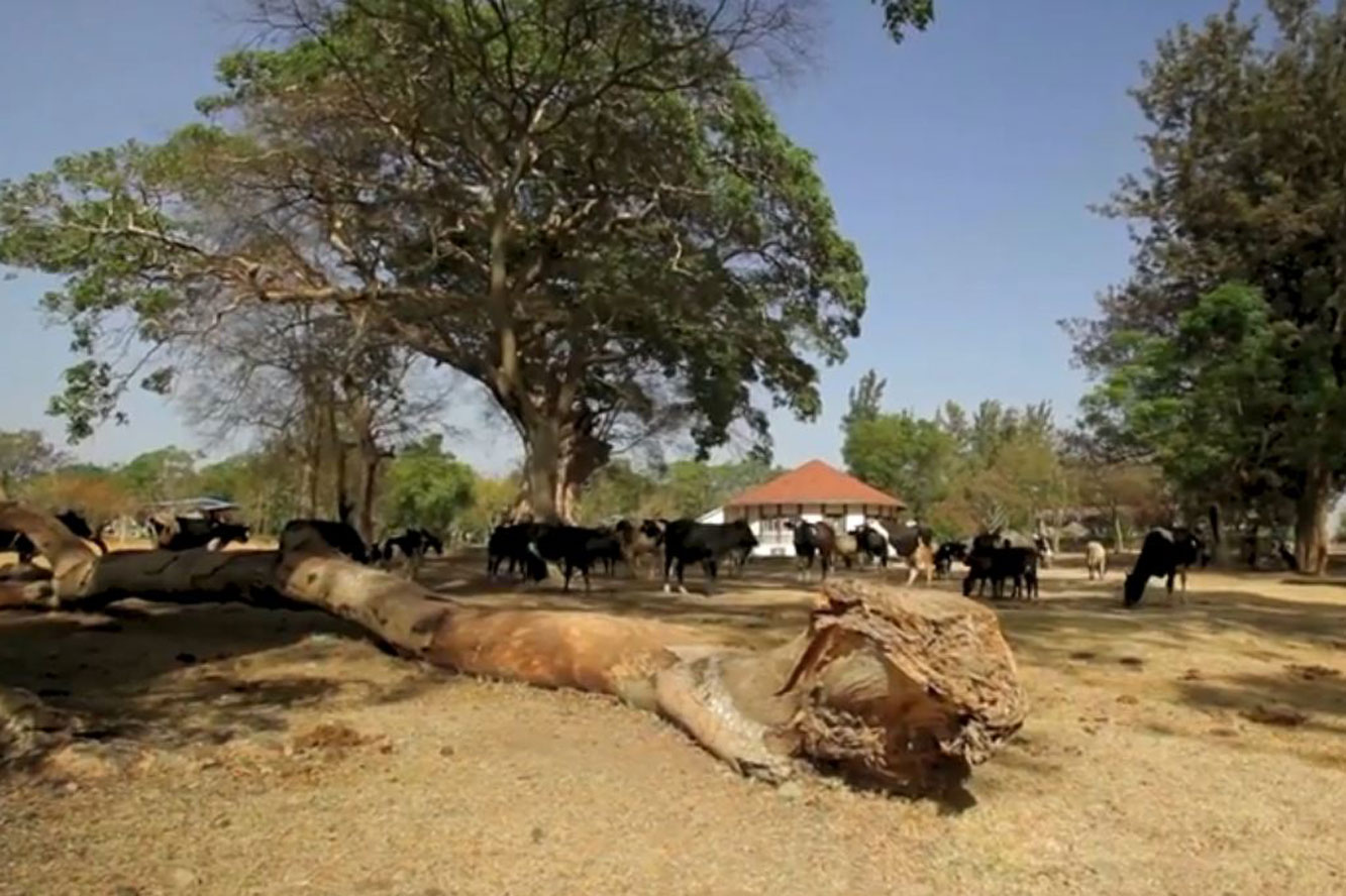 Biogasanlage Äthiopien