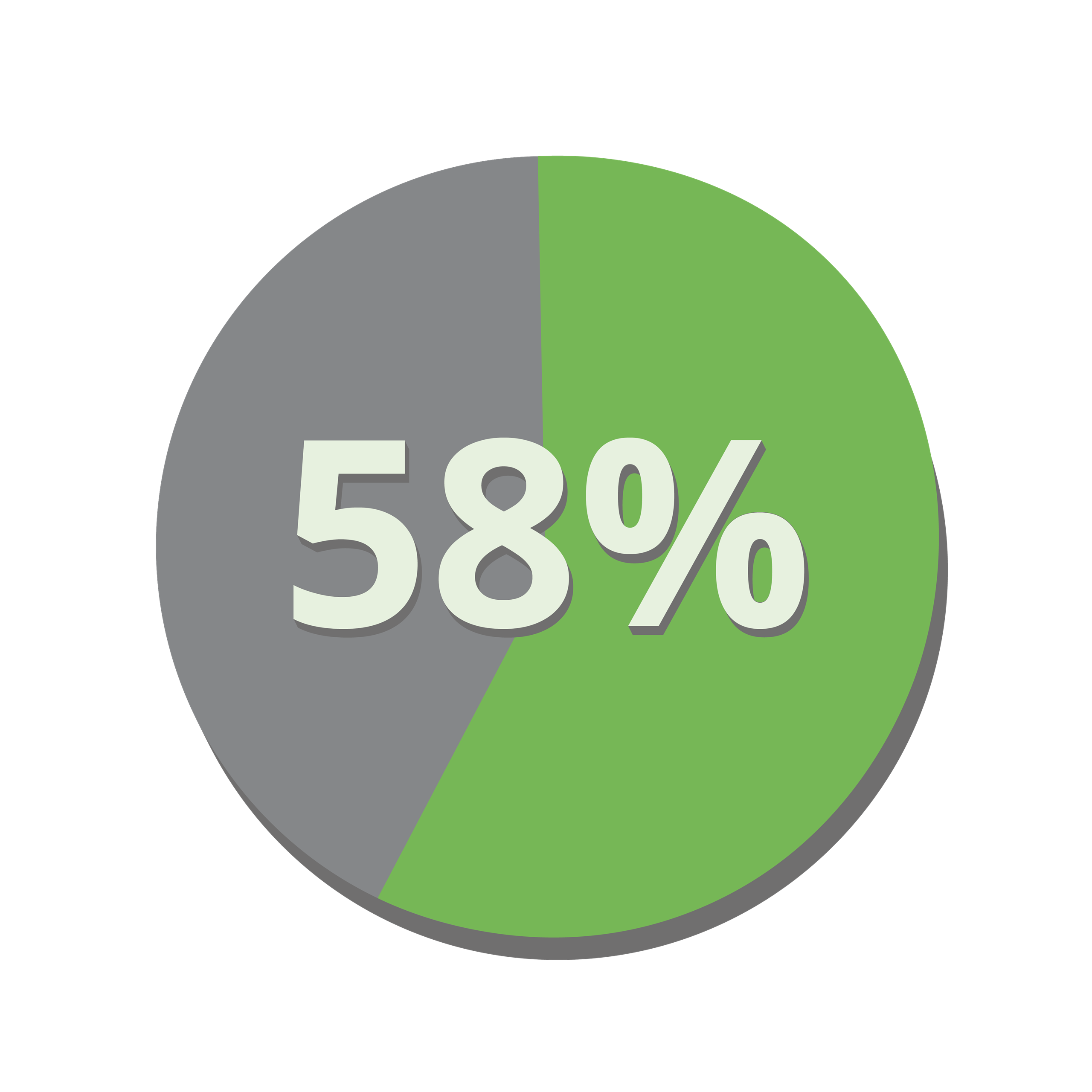 58%25 Diagramm