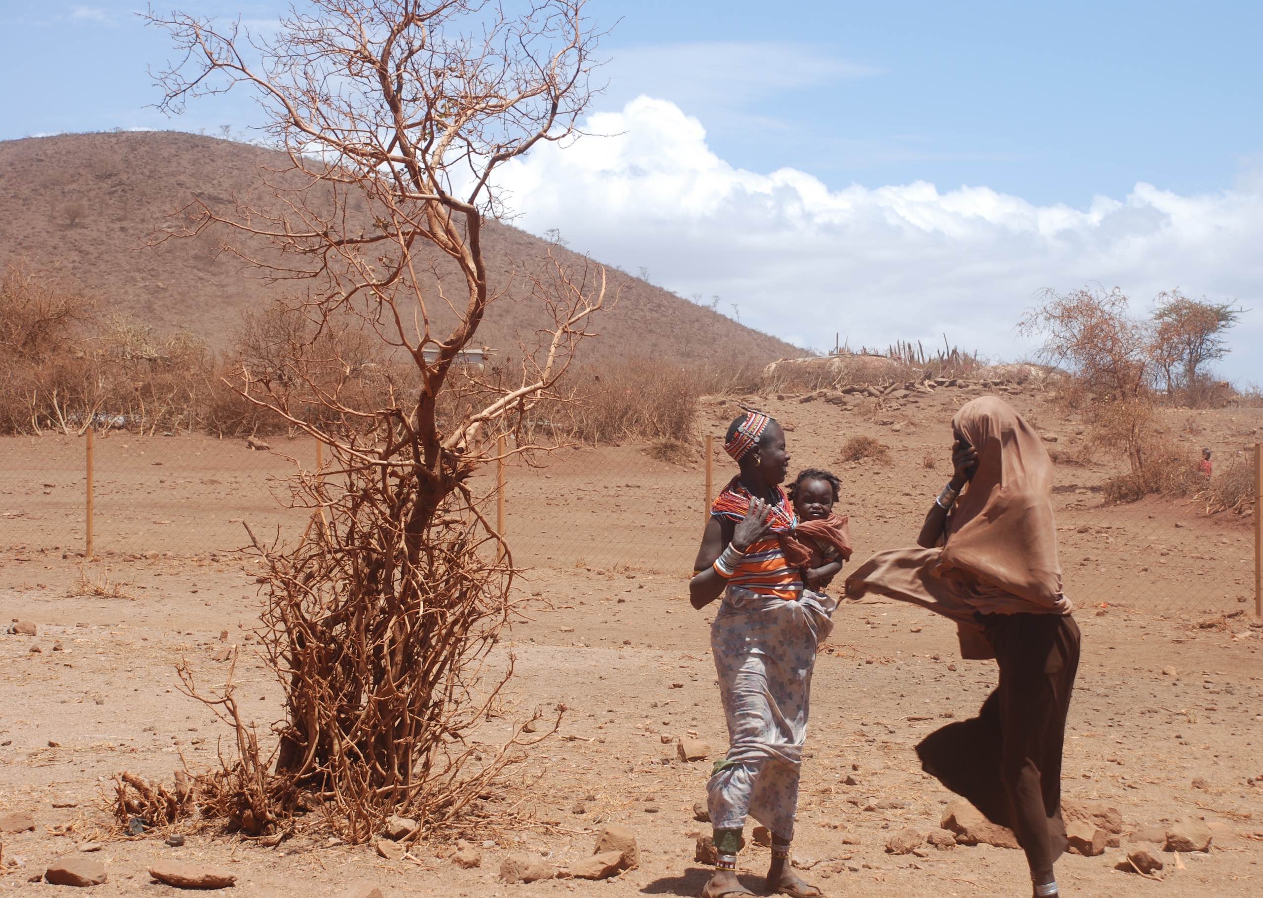 Hunger, Heuschrecken und Coronavirus bedrohen Afrika