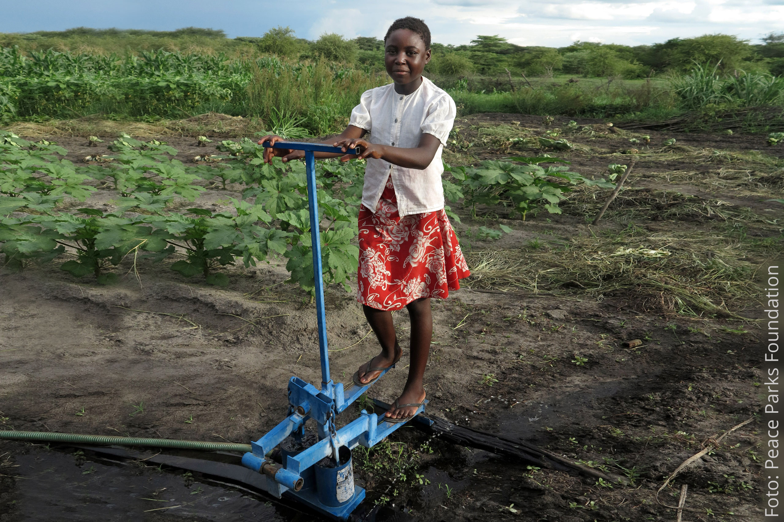 Tret-Wasserpumpe. Foto: Peace Parks Foundation