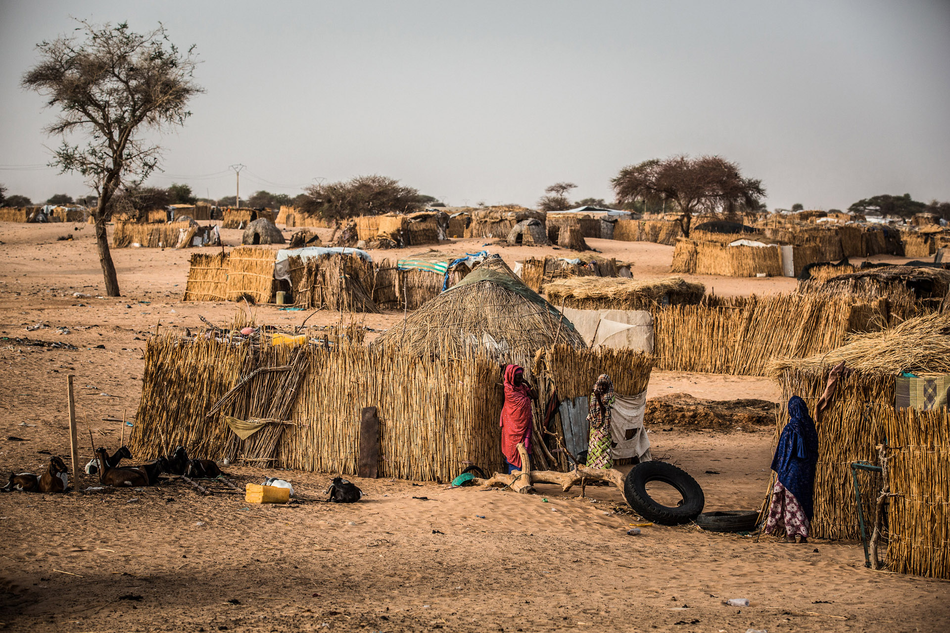 Vergessene Krise Niger