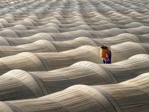 Foto: CEWE Photo Award / Leyla Emektar (Türkei)