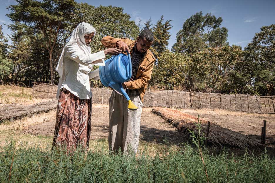 In der Baumschule: Nefisa, 22, und Meseret, 26, arbeiten bei dem Umweltprojekt im äthiopischen Tulu Moye mit.