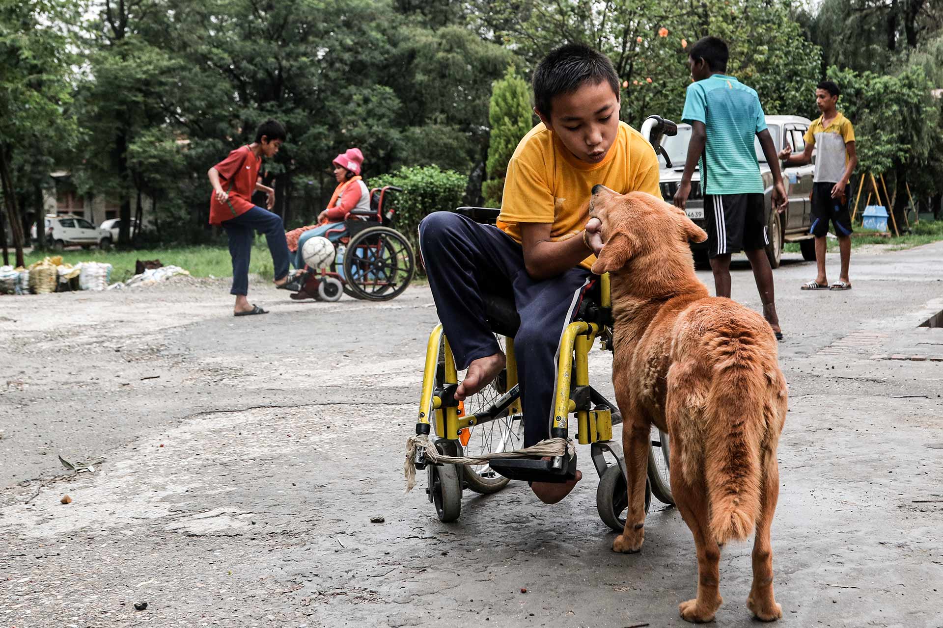 Junge im Rollstuhl streichelt Hund, im Hintergrund spielen andere Kinder, Inklusion in der Gesellschaft wird gezeigt.