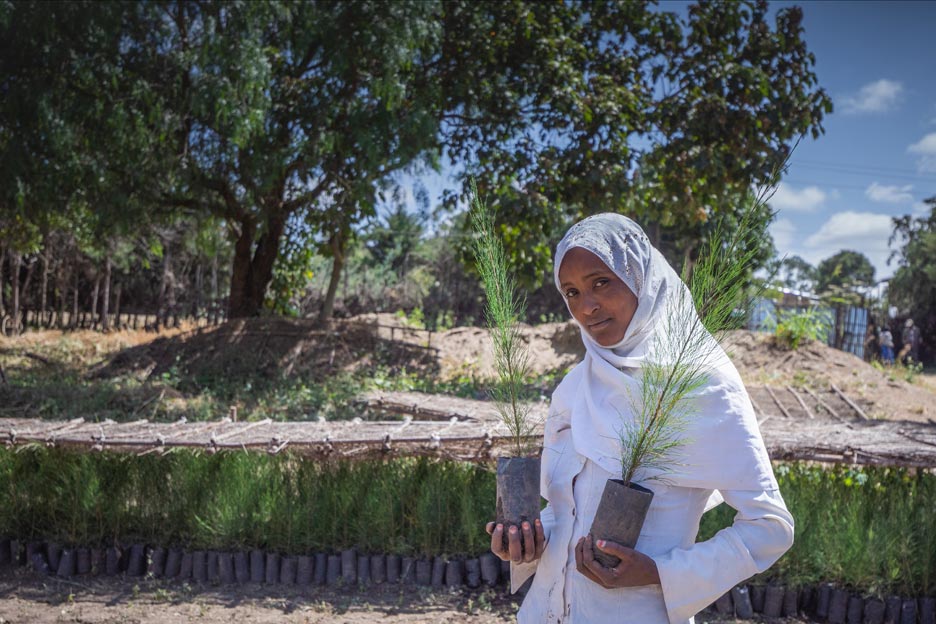 Nefisa, Teilnehmerin des Umweltprojekts im äthiopischen Tulu Moye, hält zwei Baumsetzlinge. Foto: Petterik Wiggers