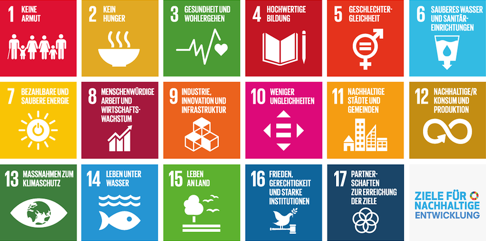 17 Ziele für nachhaltige Entwicklung im Rahmen der Agenda 2030