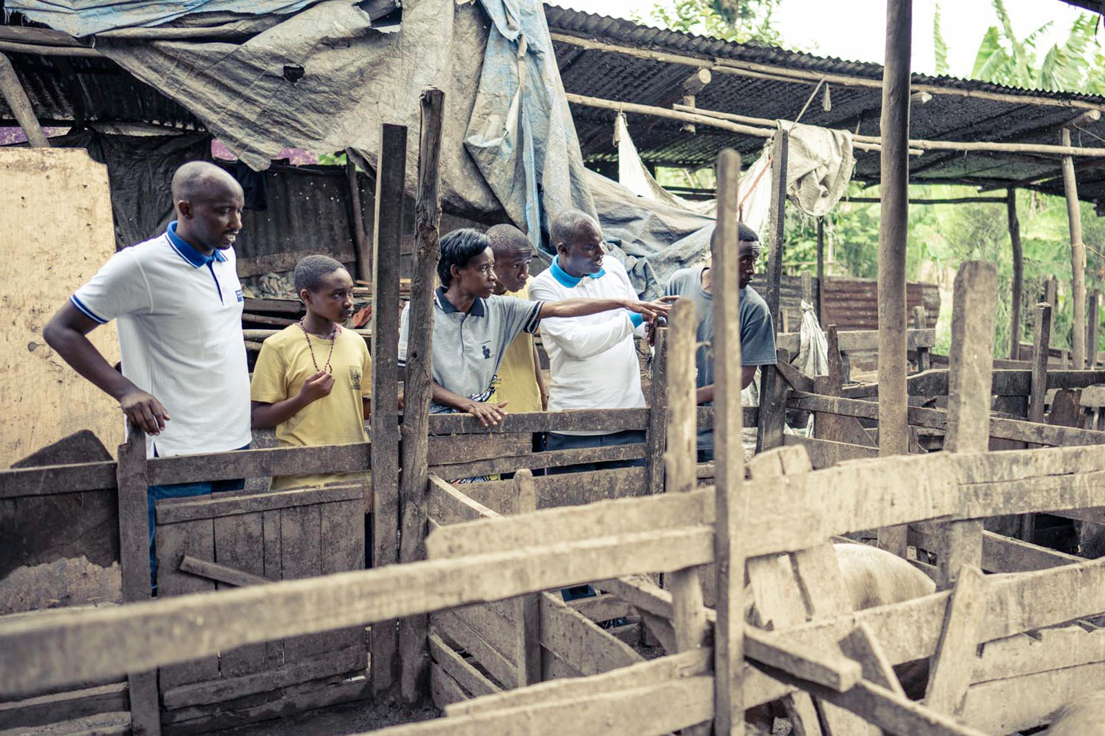 Bäuerin in Ruanda zeigt ihre Stallungen