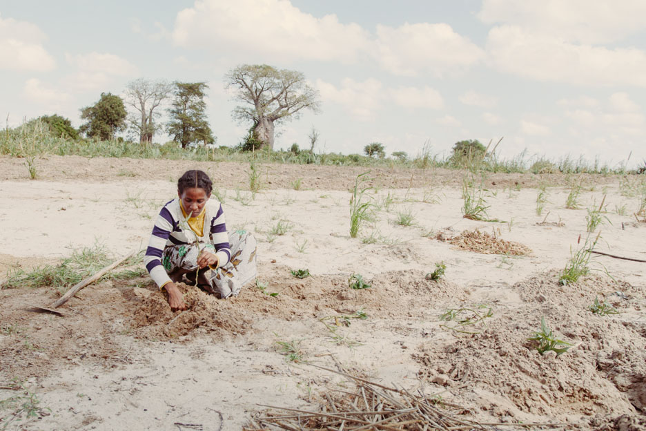Alles ist ausgetrocknet: Eine Bäuerin in Madagaskar bei der Feldarbeit. Foto: Gernot Aschoff